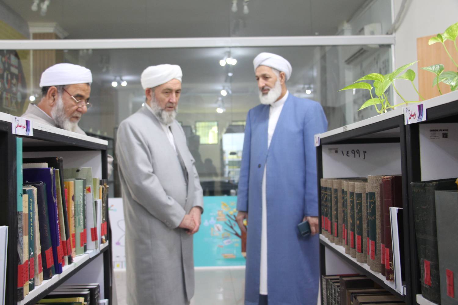 لزوم استفاده از ظرفیت کتابخانه‌های عمومی برای توسعه فرهنگی