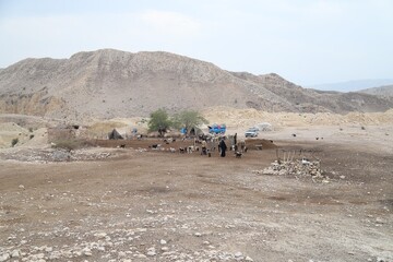 «روستا با طعم کتاب» در روستای بن بید استان بوشهر