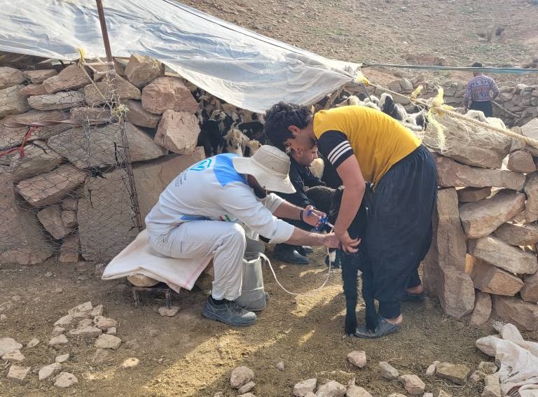 طعم کتاب با عشایر در مسجدسلیمان