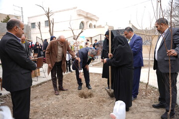 کاشت نهال به مناسبت روز درختکاری در کتابخانه عمومی شهید سلیمی شهرستان ملارد