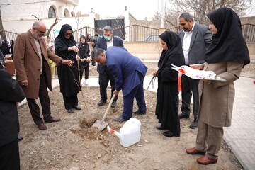 کاشت نهال به مناسبت روز درختکاری در کتابخانه عمومی شهید سلیمی شهرستان ملارد