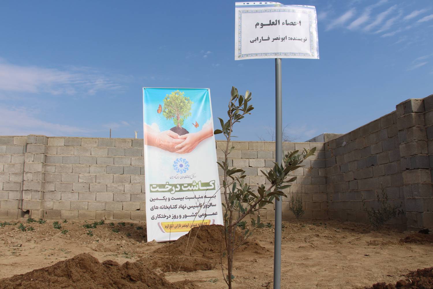 «کتابخانهگردی» و کاشت نهال در کتابخانه ابونصر فارابی انبارالوم انجام شد