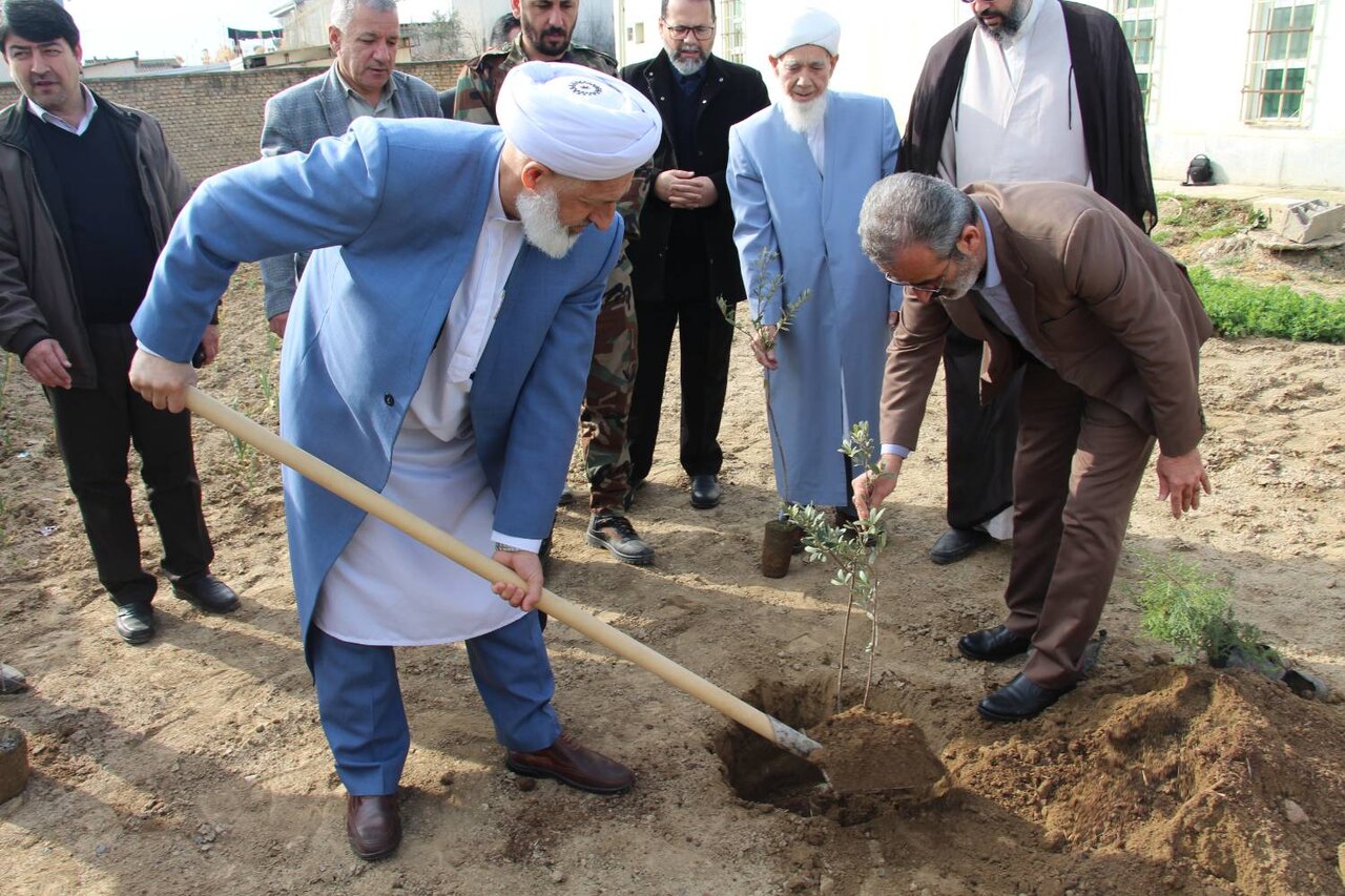 «کتابخانهگردی» و کاشت نهال در کتابخانه ابونصر فارابی انبارالوم انجام شد