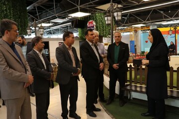 باغ کتاب کاشان