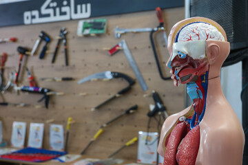 روز سوم حضور نهاد در سی و ششمین نمایشگاه بین المللی کتاب تهران