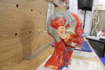 مروری بر فعالیت های بخش کودک در نهمین روز از نمایشگاه کتاب