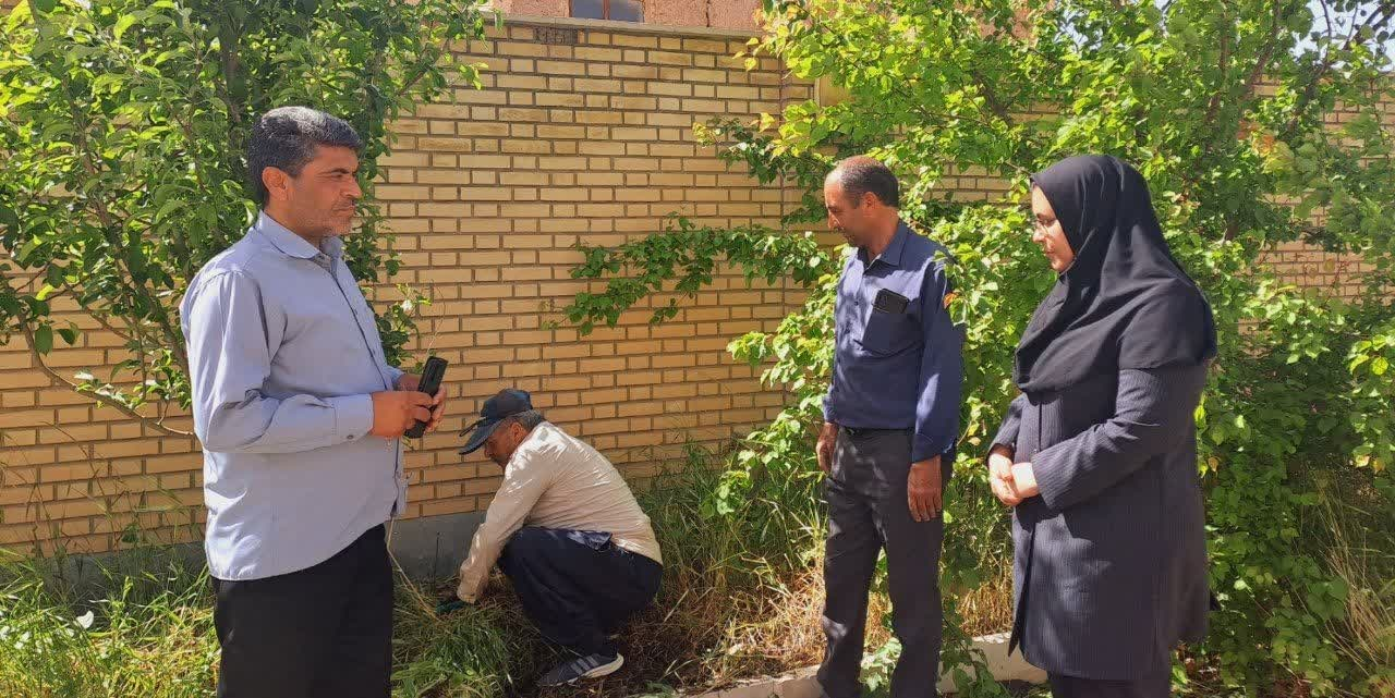 فصل شکوفه‌های دانایی؛ روایت اردیبهشتی کتابخانه‌های عمومی استان مرکزی