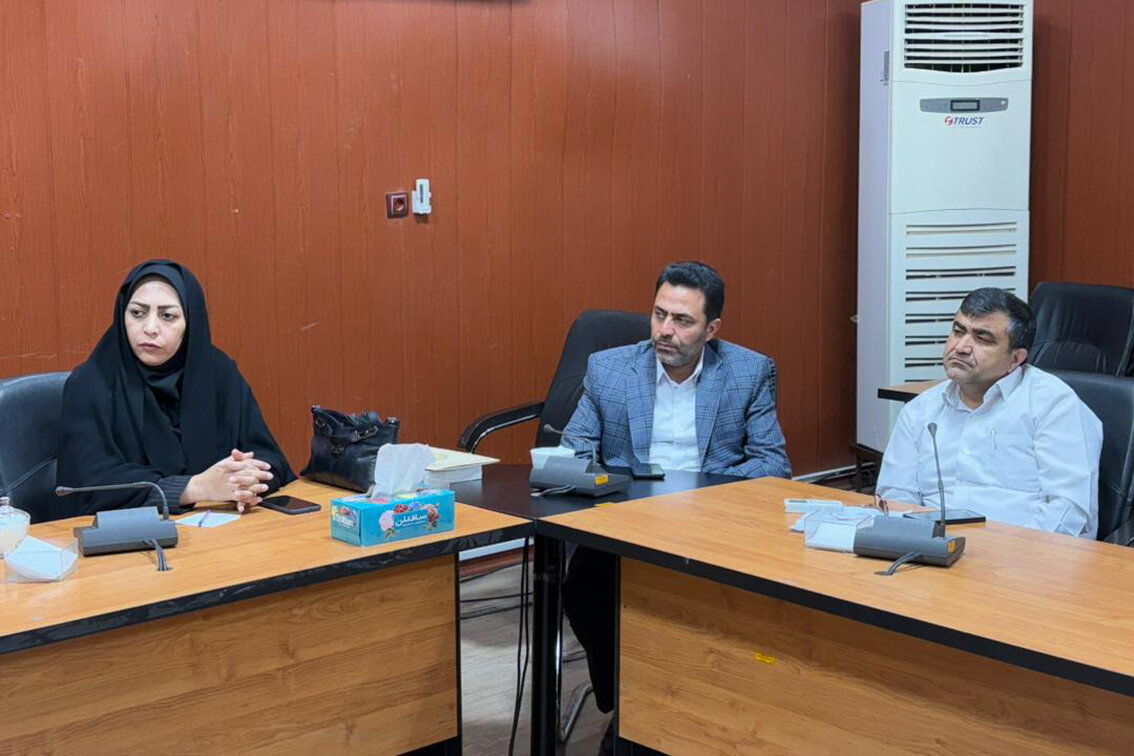 شهرستان دهلران نقش مهمی در توسعه کتابخانههای استان ایلام دارد