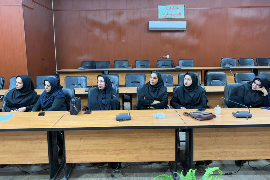 شهرستان دهلران نقش مهمی در توسعه کتابخانه‌های استان ایلام دارد