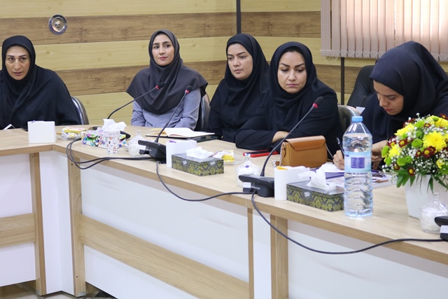 آیین رونمایی از کتاب «بررسی ساختار روایی در خاطره زنان از جنگ» در مومنآباد برگزار شد