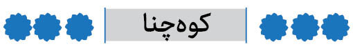 شهرستان کوه چنار فارس