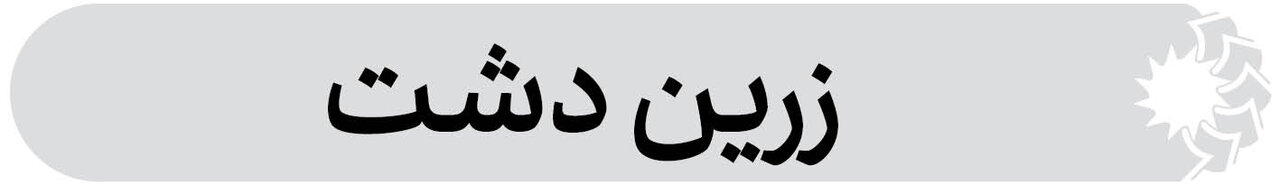 شهرستان زرین دشت فارس