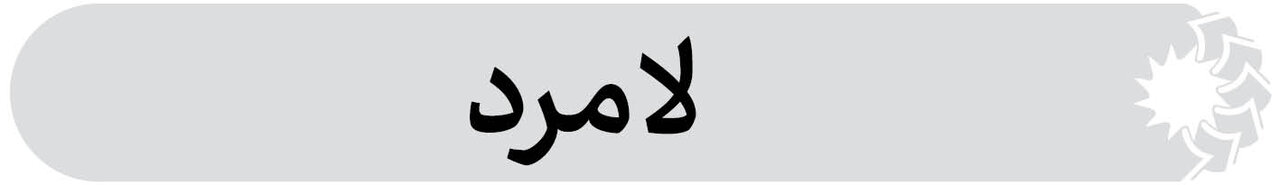 شهرستان لامرد فارس