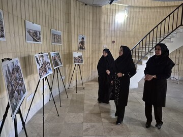 بازدید مدیرکل از کتابخانه های عمومی دهگلان و قروه 9