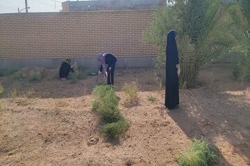 خور و بیابانک