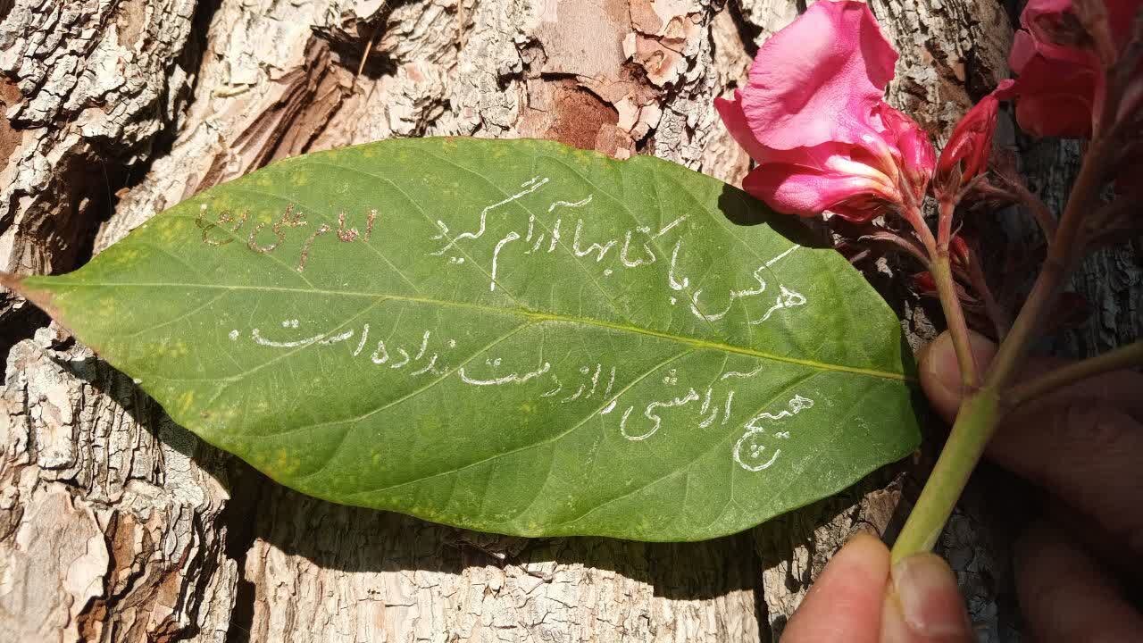 جلوهای بینظیر از پیوند کتاب، هنر و مسئولیتهای اجتماعی در استان مرکزی