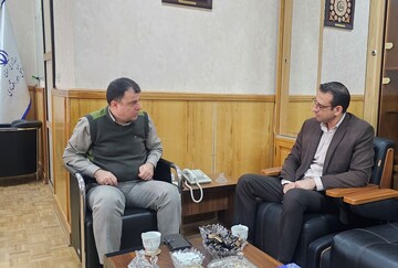 معاون اقتصادی