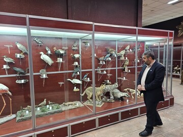 کتابخانه عمومی یادگار امام (ره) شهر محمدیه شهرستان البرز