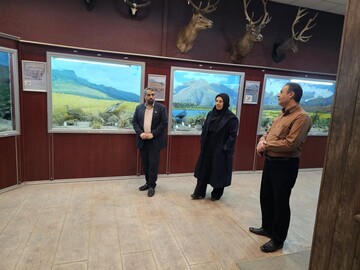 کتابخانه عمومی یادگار امام (ره) شهر محمدیه شهرستان البرز