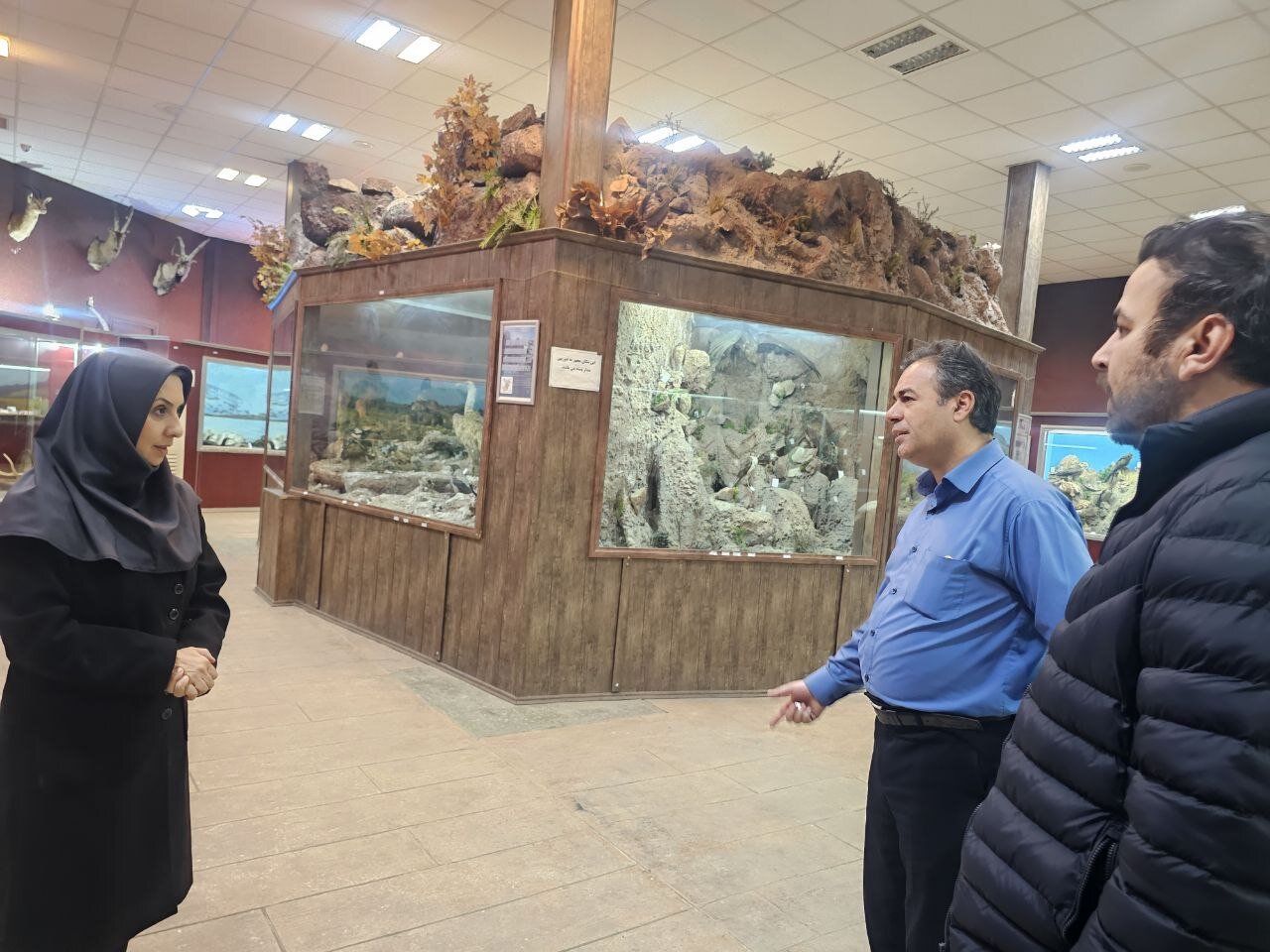 بازطراحی کتابخانه یادگارامام