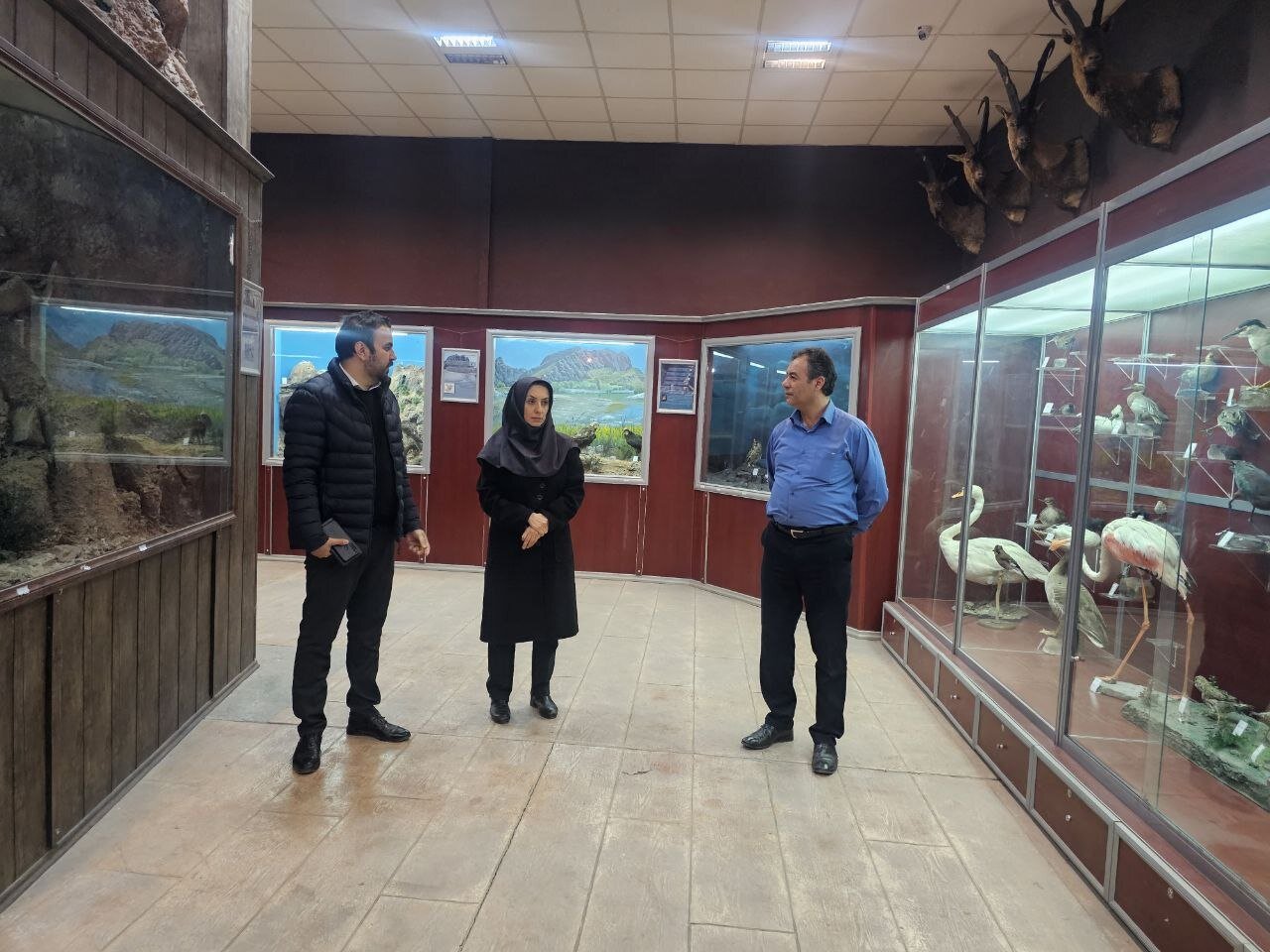 بازطراحی کتابخانه یادگار امام