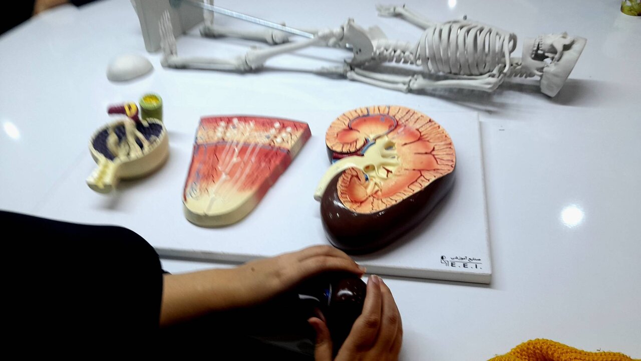 آیین رونمایی از کتاب «زم حریر» در کتابخانه مرکزی ارومیه برگزار شد