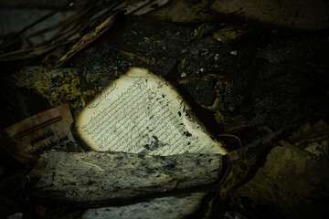 در سوگ کتاب‌هایی که دیگر تکرار نمی‌شوند