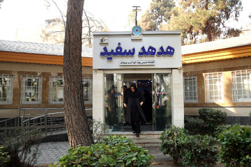 بازدید دبیرکل با همراهی محمد خلج؛ دستیار دبیرکل، معاونین و جمعی از مدیران نهاد از کتابخانه هدهدسفید