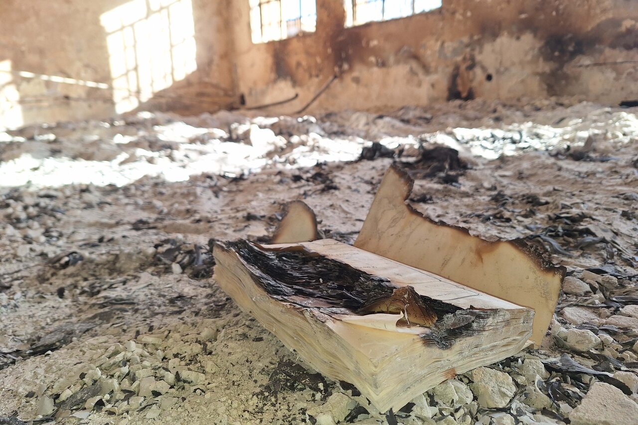 پرپر شدن دانایی در آذرخش خشونت