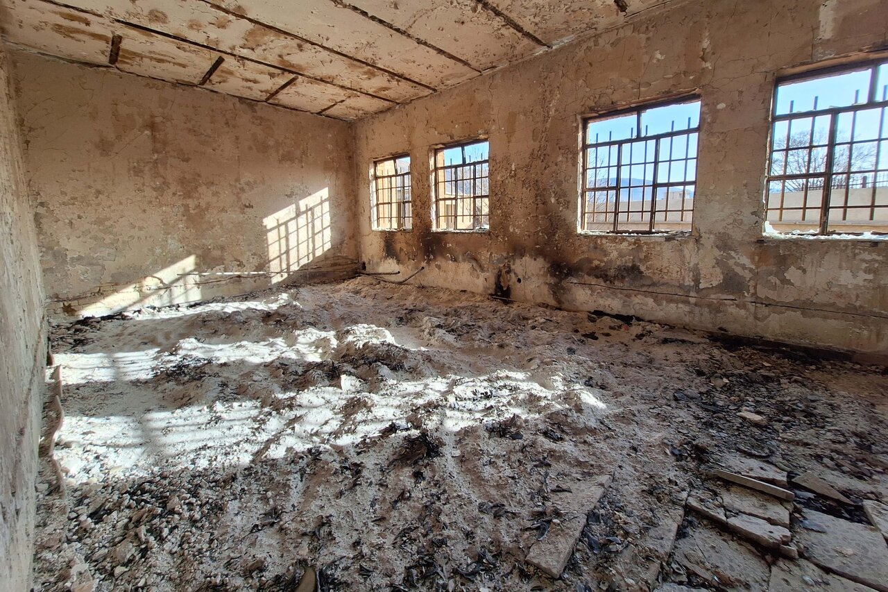 پرپر شدن دانایی در آذرخش خشونت