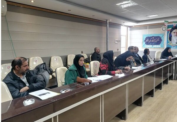 فرهنگ، قربانی بیتوجهی است و همه باید برای احیا و شادابی کتابخانهها همت کنند