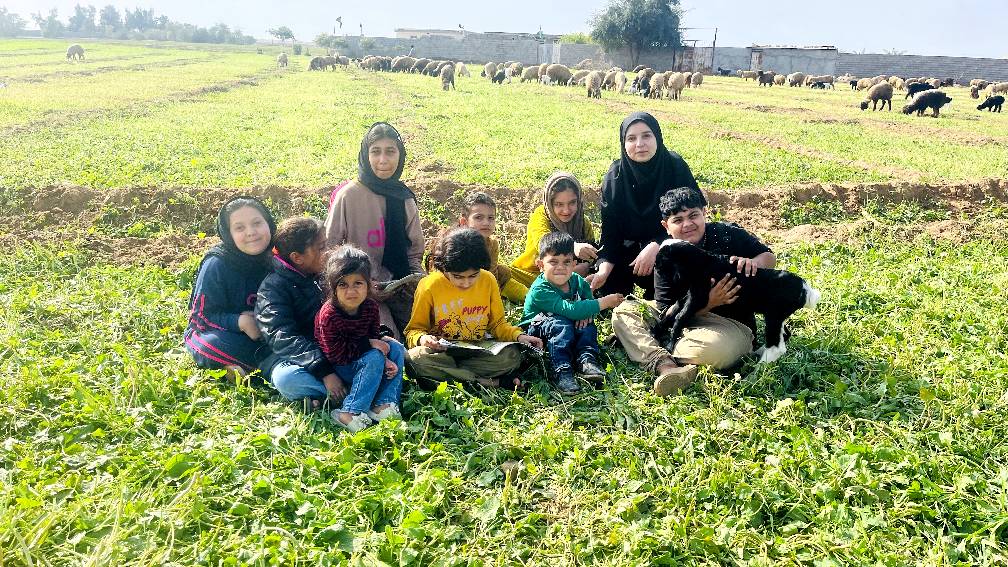 «شُلی» از دل کتاب به دل مزرعه آمد؛ قصه‌گویی متفاوت میان گوسفندان روستای صلیعه