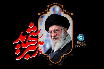 شهادت