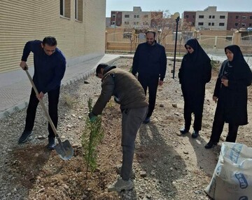 درختکاری