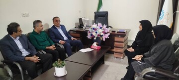 دیدار