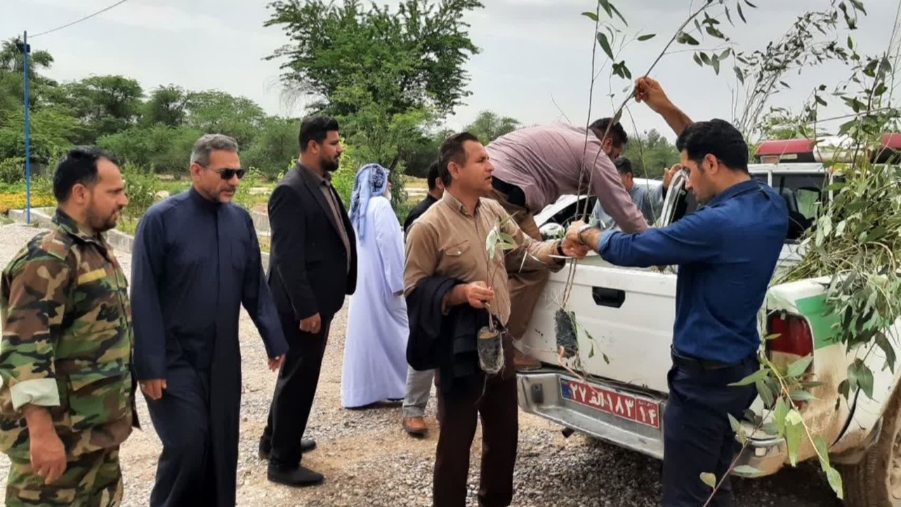 پویش ملی «سرو ایران» در حمیدیه؛ هم‌افزایی برای توسعه فضای سبز و پاسداشت طبیعت