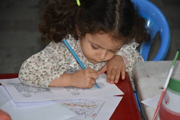 موکب ایران جان در شیراز