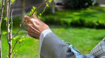شعری با صدای شاعری جانباز از جنگ رمضان