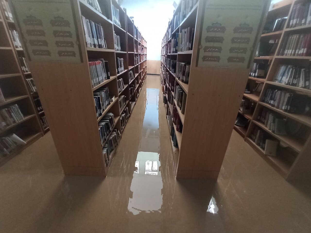 مدیرکل کتابخانههای عمومی فارس از کتابخانه سیل زده جهرم بازدید کرد