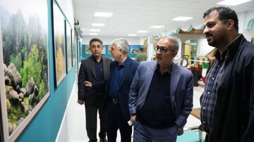 بازدید