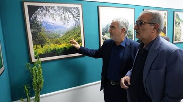 بازدید