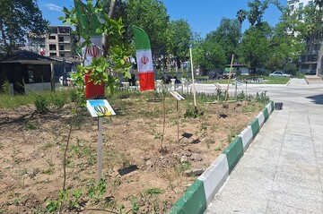 محفل «نیمکت های آسمانی» در رشت