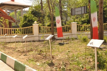 محفل «نیمکت های آسمانی» در رشت