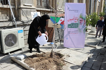 غرس نهال مثمر با حضور دبیرکل نهاد کتابخانه‌های عمومی کشور