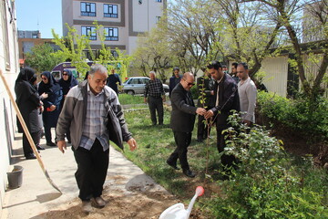 غرس نهال در پویش «باغ امین» در اداره کل کتابخانه‌های عمومی استان مرکزی