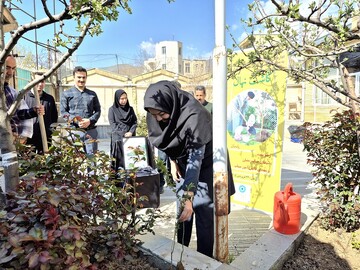 باغ امین 1