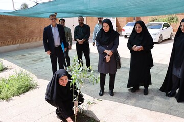 کاشت نهال