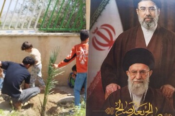 غرس نهال‌های مثمر در کتابخانه‌های عمومی استان بوشهر