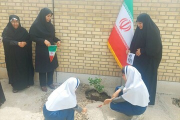غرس نهال‌های مثمر در کتابخانه‌های عمومی استان بوشهر