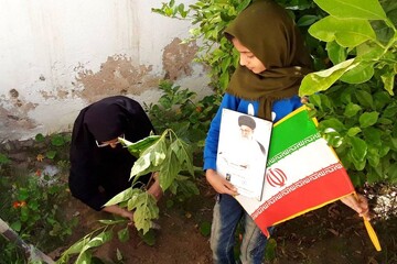 غرس نهال‌های مثمر در کتابخانه‌های عمومی استان بوشهر